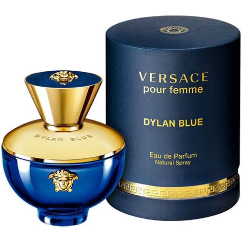 Versace perfume 100ml price